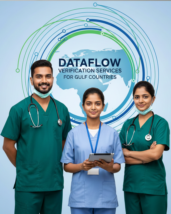 Dataflow verification process